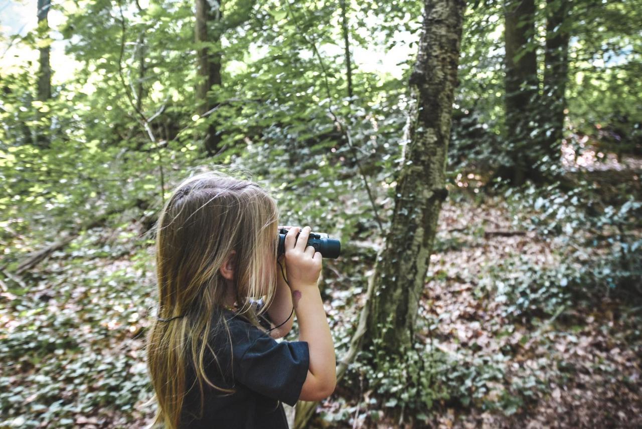Witte Berken Natuurhotel Epe Bagian luar foto
