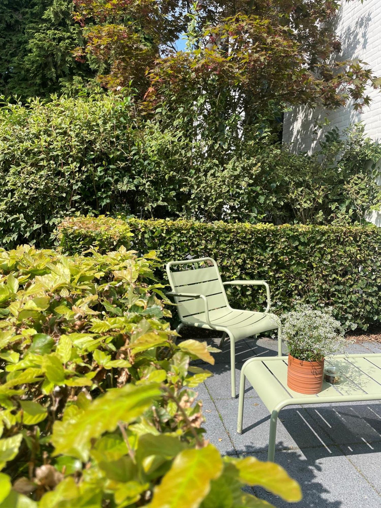 Witte Berken Natuurhotel Epe Bagian luar foto
