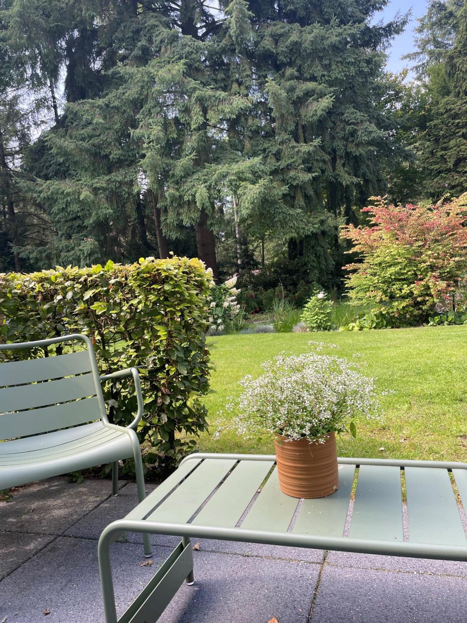 Witte Berken Natuurhotel Epe Bagian luar foto