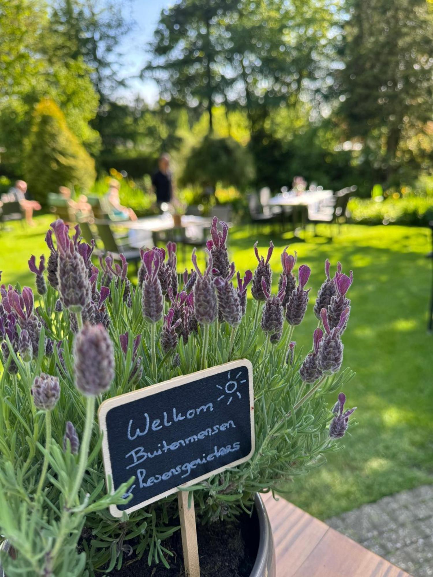 Witte Berken Natuurhotel Epe Bagian luar foto