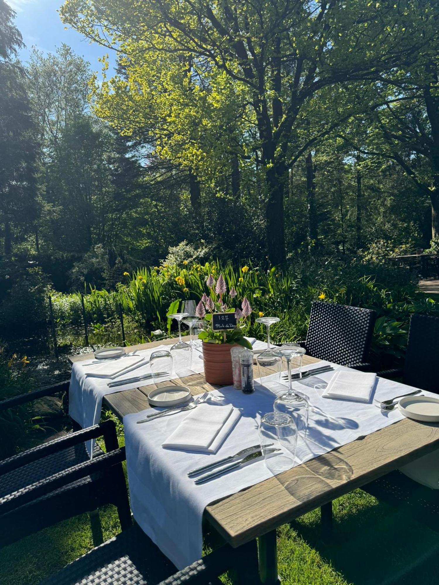 Witte Berken Natuurhotel Epe Bagian luar foto